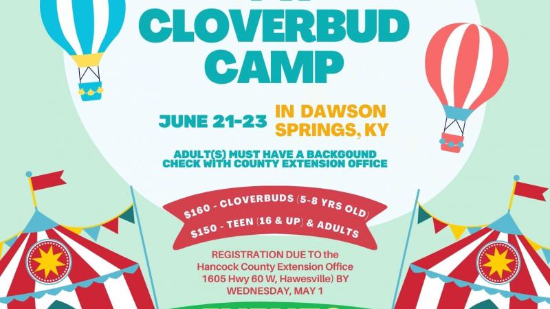 cloverbud camp
